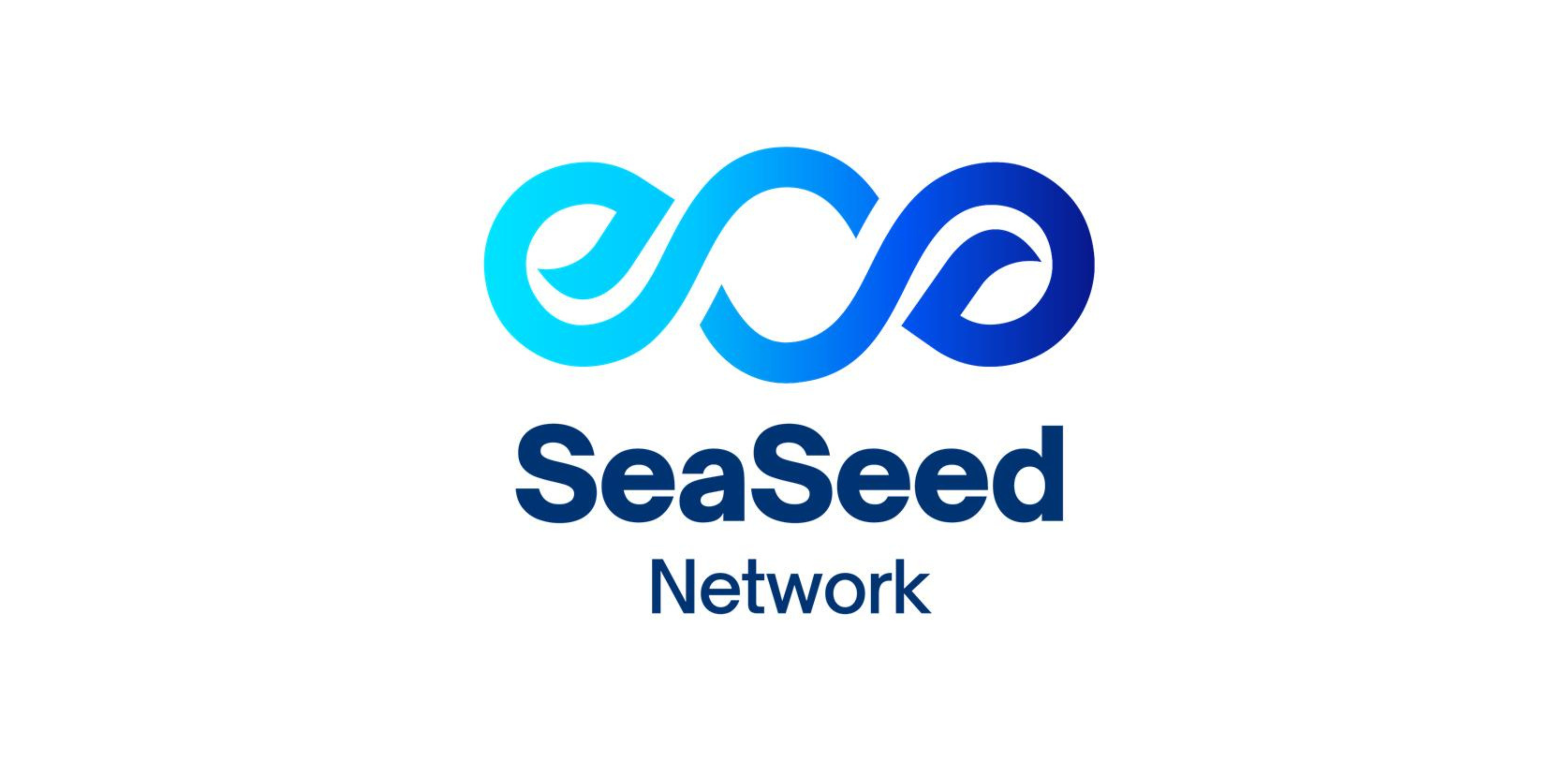 SeaSeed Network provides a robust RWA layer 1 for the seamless integration of financial assets into the web3 space.